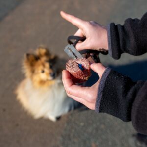 Anti-Giftkörper Workshop