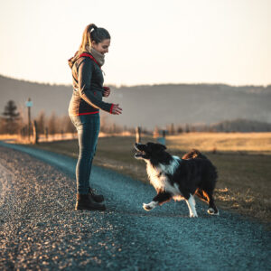 DDT-Modul: Freies Longieren – Bewegung strukturieren, Kommunikation schärfen, sinnvoll auslasten (Oktober 2026)