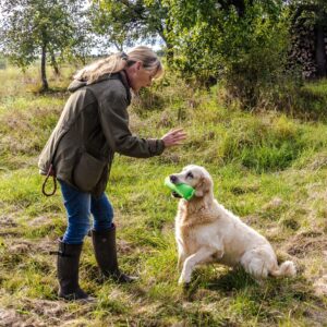 DDT-Modul: Dummyarbeit – sinnvoll auslasten, strukturiert aufbauen, alltagstauglich vermitteln (April 2027)